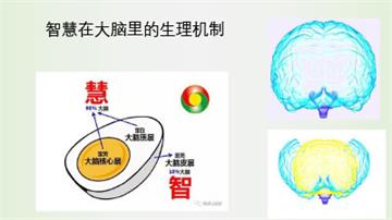 家风家训--少年养正是人生的关键时期-41.jpg